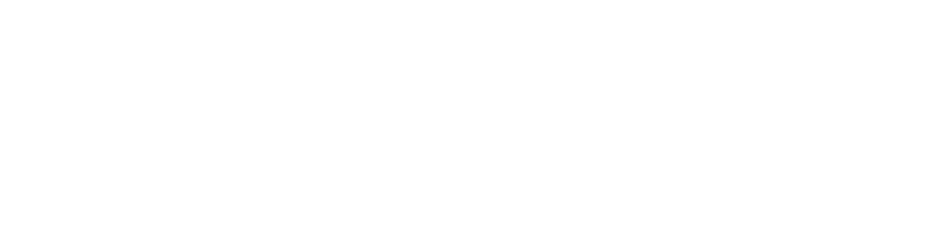 WRBA, Women's Recreational Basketball Association